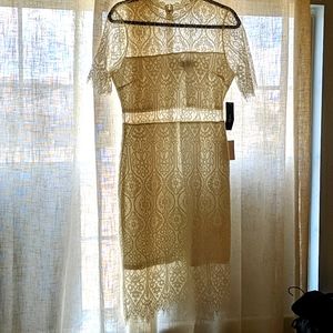 Lulu's white lace midi dress